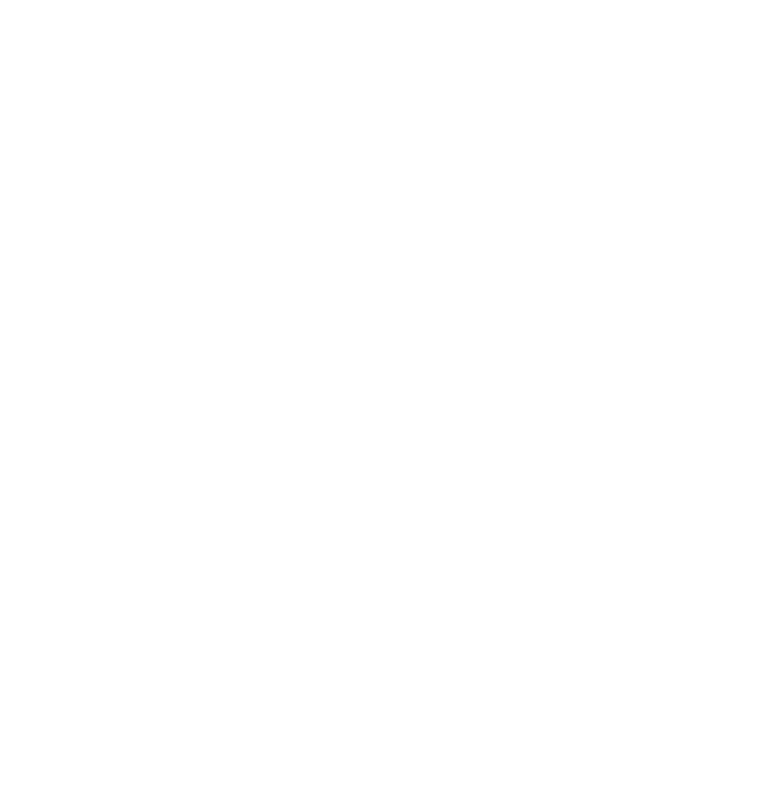 Water ICM
